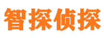 嘉禾外遇出轨调查取证